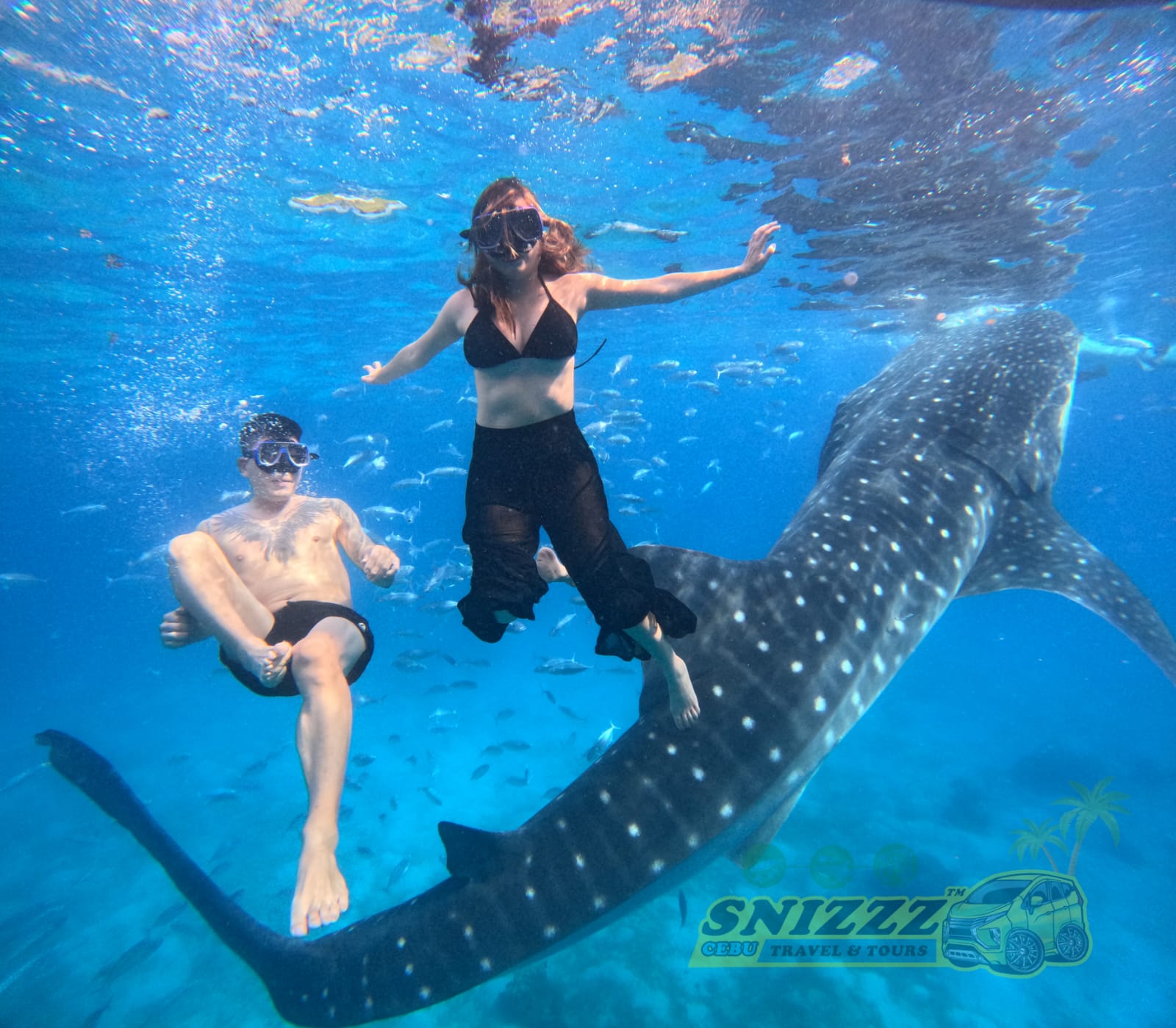 Oslob Whale Watching