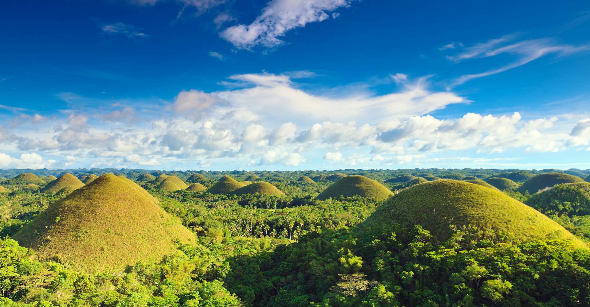 Bohol