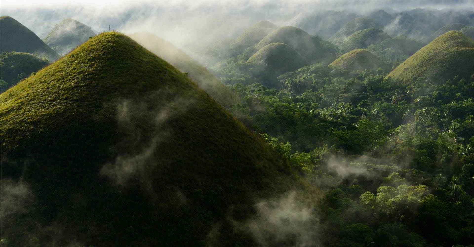 Bohol